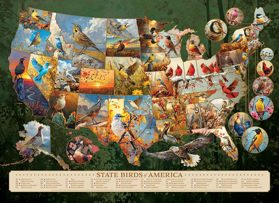 State Birds Of America 1000 625012403160