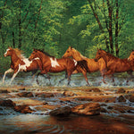 Spring Creek Run 1000 Pc Puzzl 625012403221_1