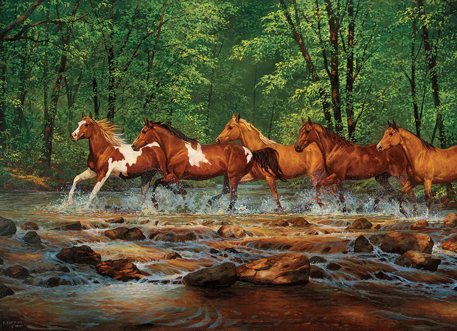 Spring Creek Run 1000 Pc Puzzl 625012403221_1