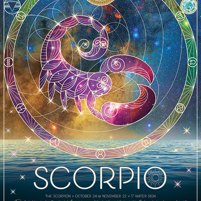 **Scorpio 500 Piece Puzzle 625012450188