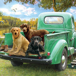 Let's Go Fishing 500 Pc Puzzle 625012450379