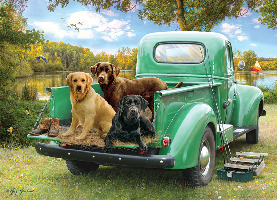 Let's Go Fishing 500 Pc Puzzle 625012450379