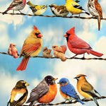 Brids On A Wire 500 Pc Puzzle 625012450461