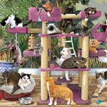 Jungle Cats 500 Piece Puzzle 625012450959