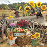 Choc Wagon 500 Piece Puzzle 625012450966
