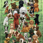 Puppy Love 350 Family Pc Puzzl 625012470070