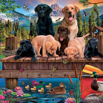 Pups And Ducks 350 Family Pc 625012470384