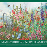 Hummingbirds Of N America 2000 625012490153