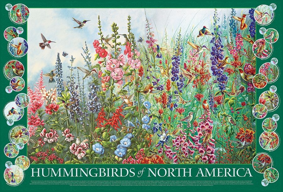 Hummingbirds Of N America 2000 625012490153