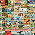Birds Of The World 2000 Pc 625012490245