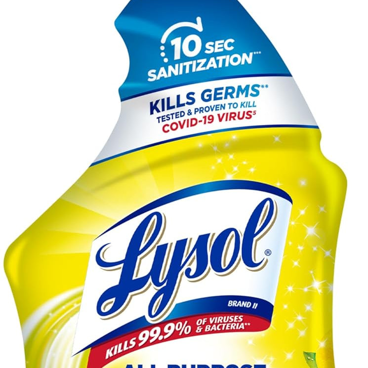 LYSOL ALL PURPOSE CLEANER 636-877