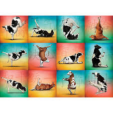 Cow Yoga 1000-Piece Puzzle 709786035762_7044cb0a-4ca1-489d-acfa-c12380a3a81f