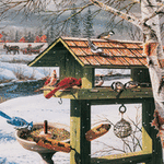 Backyard Banquet 1000-Piece Pu 709786060740