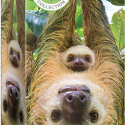 Sloths 250 Piece Puzzle 8251-5556_b5105f5a-3327-4063-a7fb-41e107ab7591
