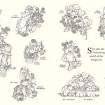 Brambly Hedge: Festive Coloring Book by Barklem. Jill 9780008699543_2