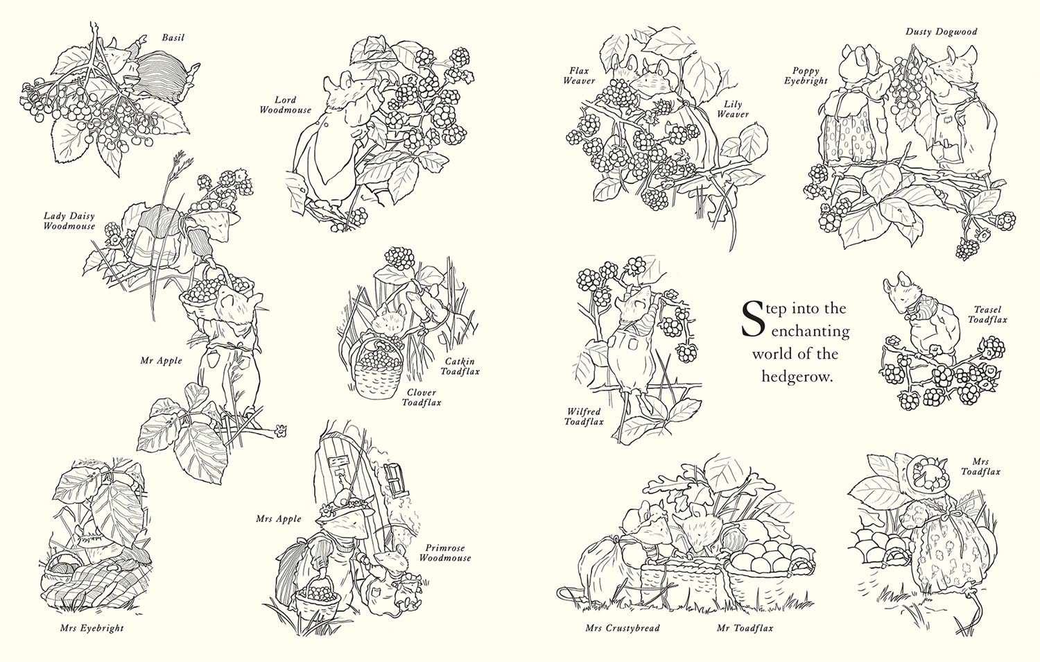 Brambly Hedge: Festive Coloring Book by Barklem. Jill 9780008699543_2