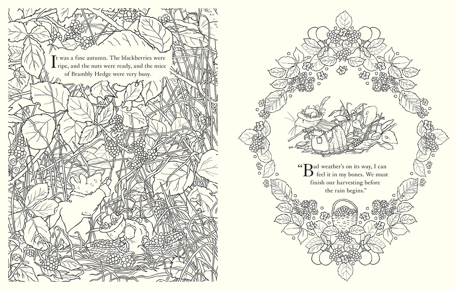 Brambly Hedge: Festive Coloring Book by Barklem. Jill 9780008699543_3