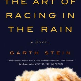 Art Of Racing In The Rain 9780061537967_d800829e-a657-43d4-8c1d-e0f884ce0253