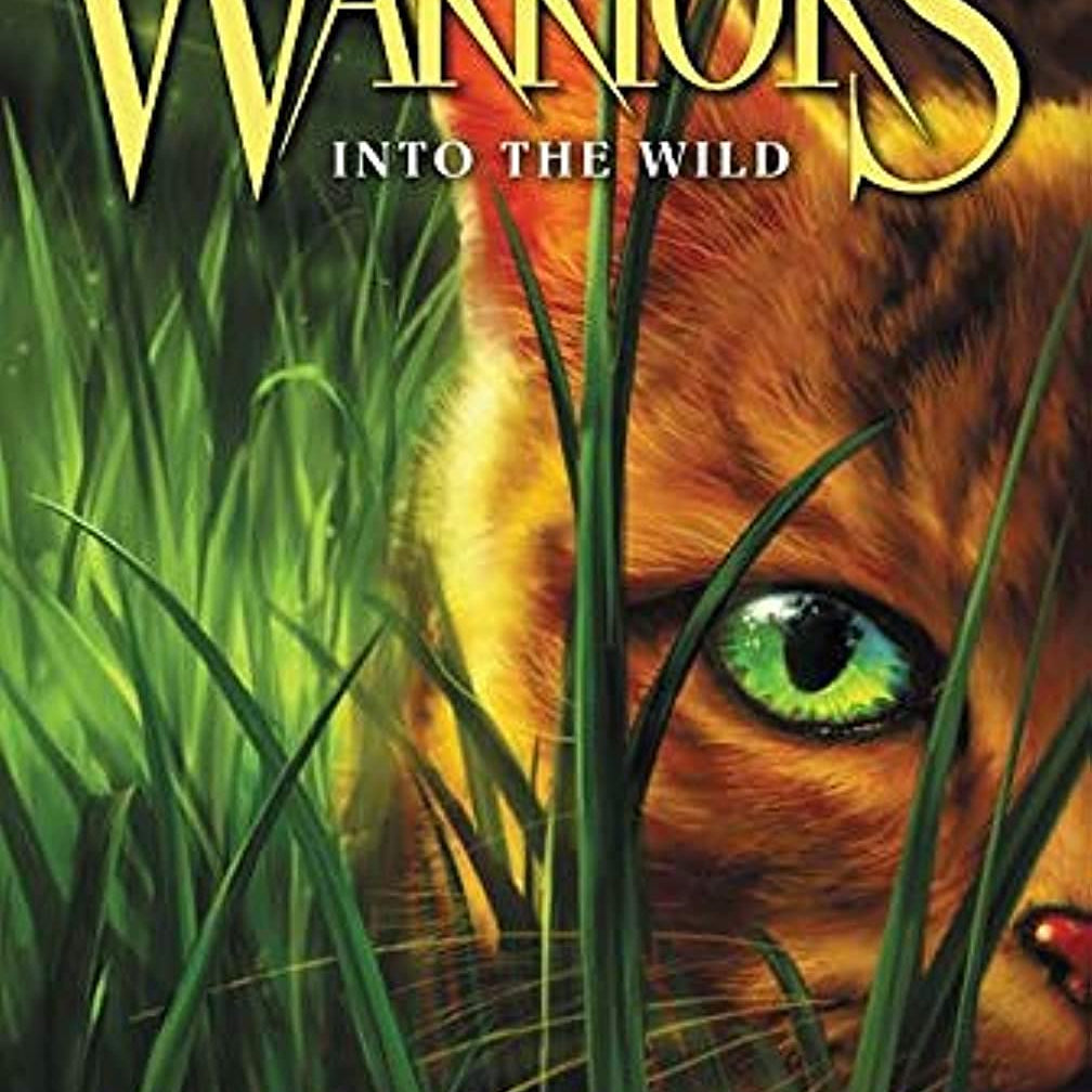 WARRIORS #1: INTO THE WILD - HUNTER. ERIN ; STEVENSON. DAVE CHILDRENS BOOKS Jerrol's Supplies