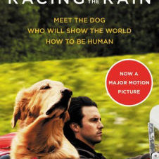 The Art Of Racing In The Rain by Stein. Garth 9780062370945_e27db969-25e8-482d-bdd9-ca9422cafc07