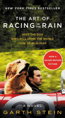 The Art Of Racing In The Rain by Stein. Garth 9780062370945_e27db969-25e8-482d-bdd9-ca9422cafc07