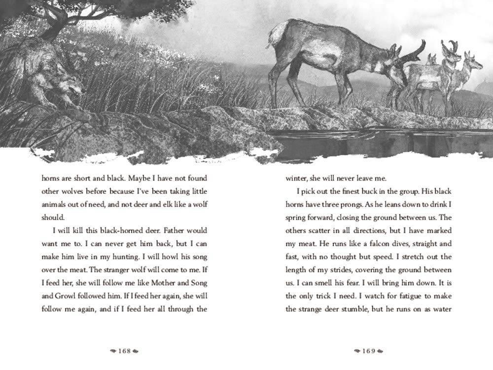 A Wolf Called Wander by Parry. Rosanne 9780062895943_2
