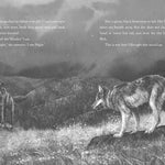 A Wolf Called Wander by Parry. Rosanne 9780062895943_3_2dab5d9a-ff40-4d91-abe5-a00ec113f20f