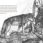 A Wolf Called Wander by Parry. Rosanne 9780062895943_4