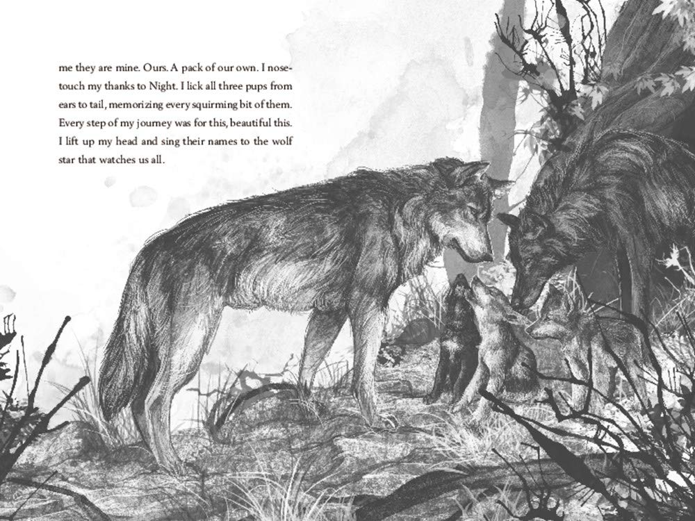 A Wolf Called Wander by Parry. Rosanne 9780062895943_4_fc53abd6-1ed3-4ade-97f0-90b580fac92a
