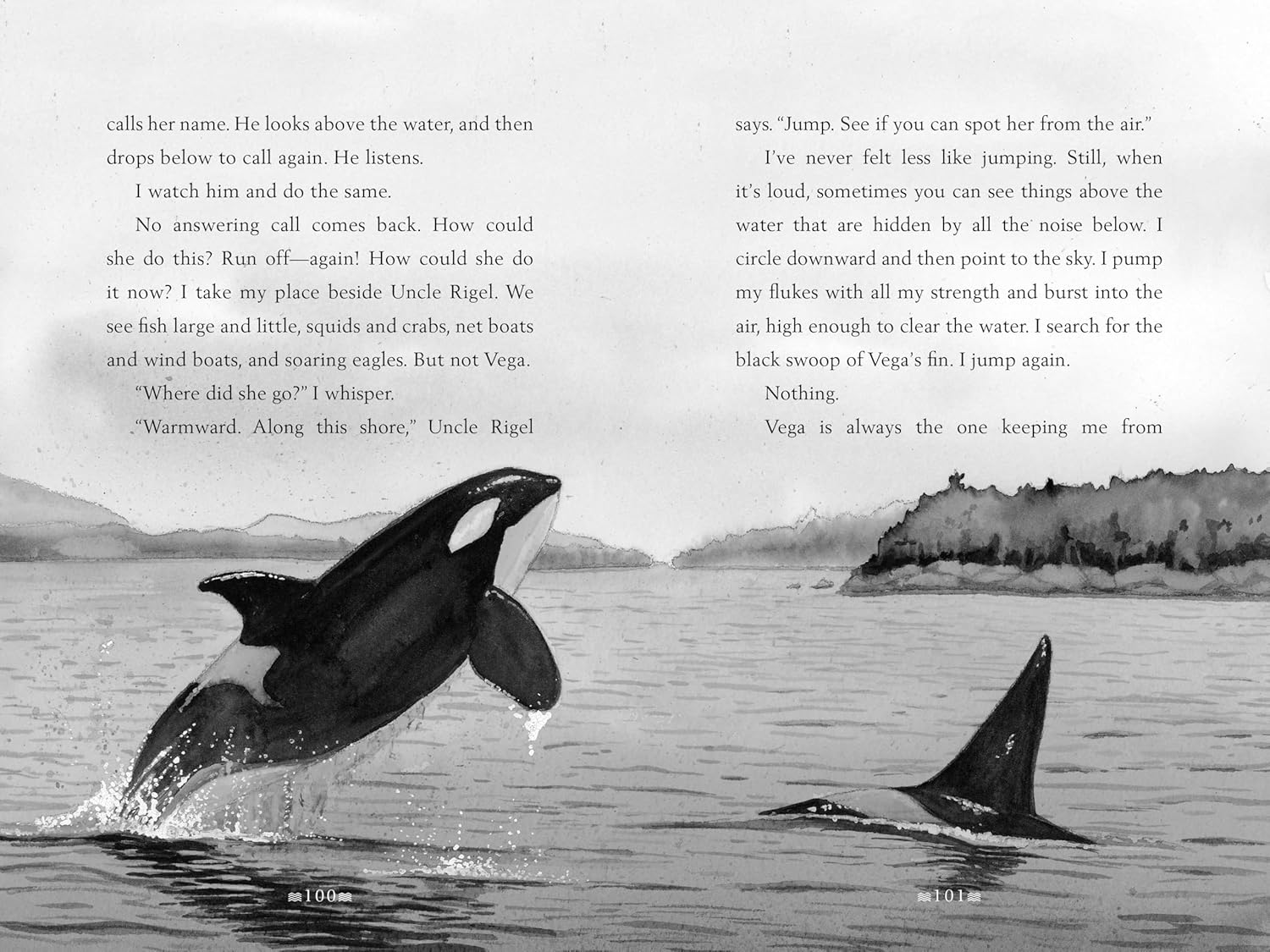 A Whale Of The Wild by Parry. Rosanne 9780062995933_1