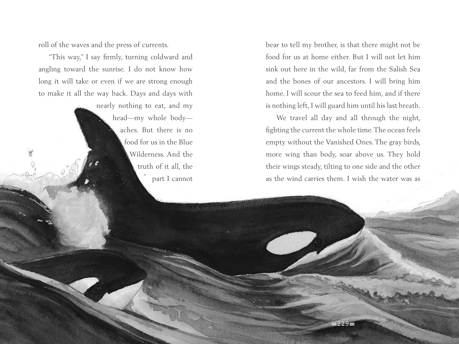 A Whale Of The Wild by Parry. Rosanne 9780062995933_2
