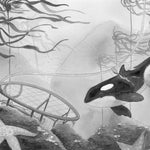 A Whale Of The Wild by Parry. Rosanne 9780062995933_3
