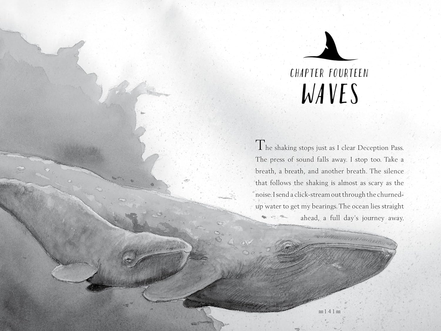 A Whale Of The Wild by Parry. Rosanne 9780062995933_4
