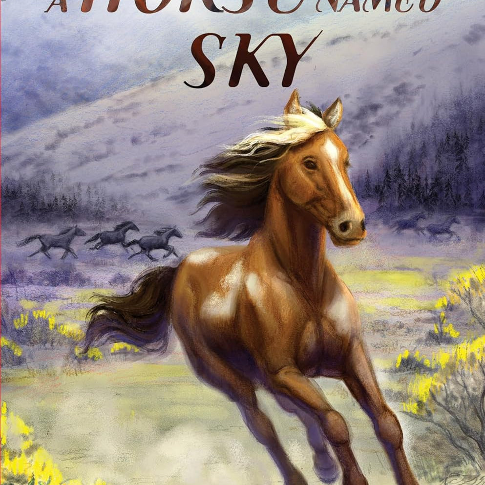 A Horse Named Sky by Parry. Rosanne 9780062995964