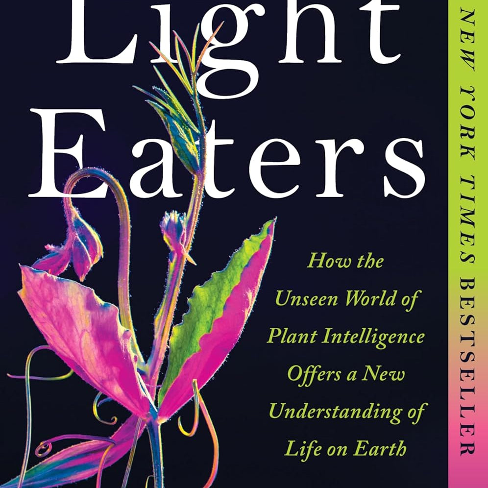 The Light Eaters by Schlanger. Zoe 9780063073869_1