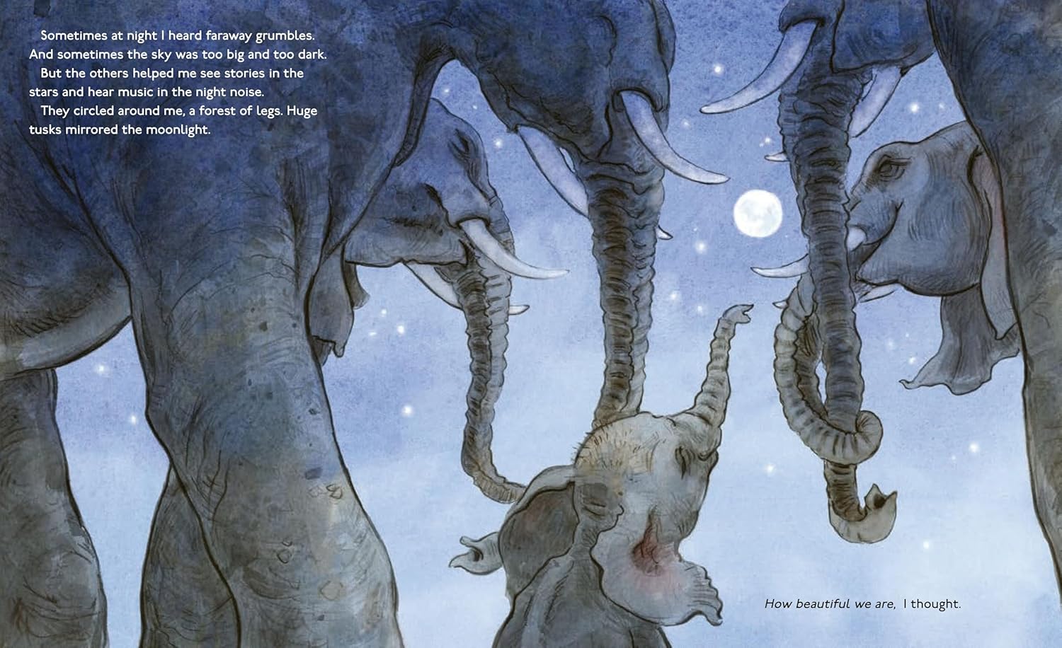 The Littlest Elephant by Applegate. Katherine; Judge. Lita 20 9780063357785_2_3a82bd4d-ca2b-4b59-ab10-b01983ac4948