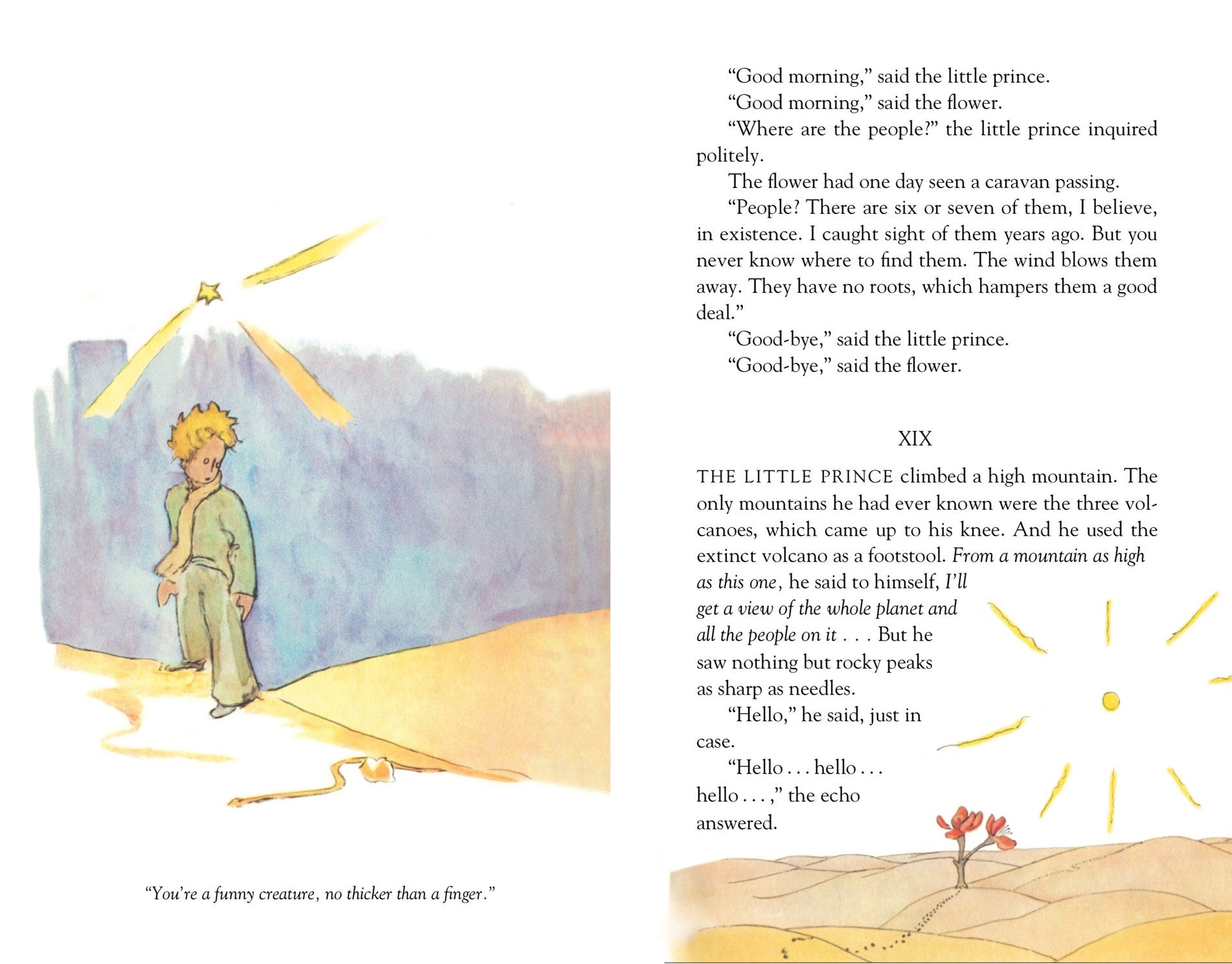 The Little Prince Deluxe Edition by de Saint-Exupery. Antoine 20 9780063391123_2
