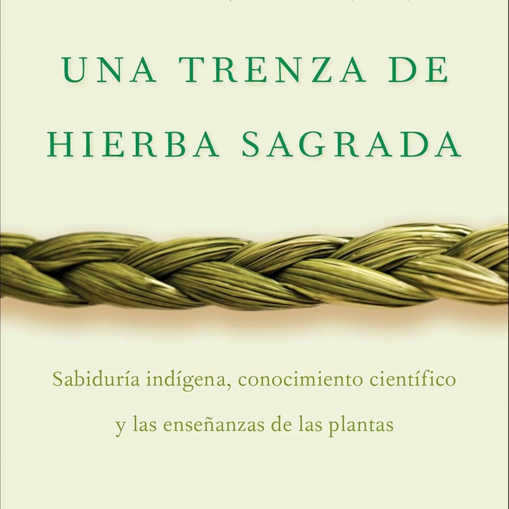 Una Trenza De Hierba Sagrada/Braiding Sweetgrass (Spanish Ed.) by Kimmer. Robin 9780063395695