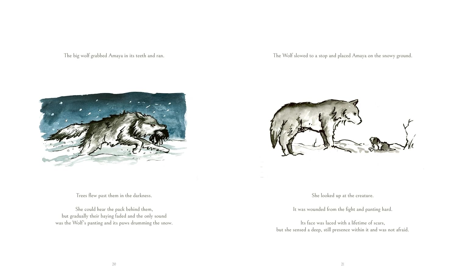 The Dog Who Followed The Moon 9780063420717_1