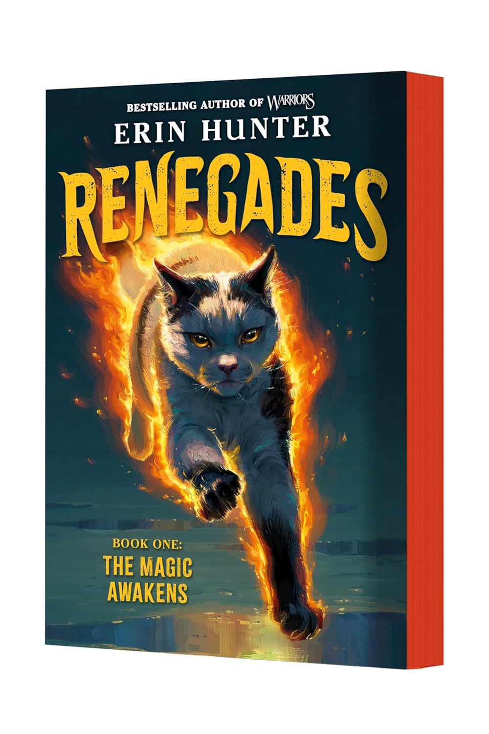 Renegades #1: The Magic Awakens by Hunter. Erin 20 9780063449534