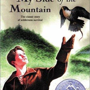 My Side Of The Mountain Childrens Classics 9780141312422_ef963989-63cd-4fd7-bcac-5cd2ee0d5da9