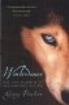 Winterdance: The Fine Madness Of Running The Iditarod by Paulsen. Gary 9780156001458_028e8cfd-6697-4908-9eb1-e15d3ba4d806