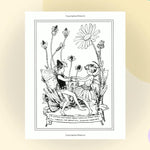 Flower Fairies Of The Summer by Barker. Cicely Mary 9780241335475_1