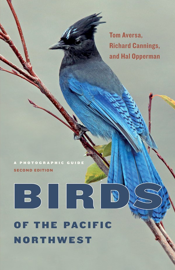 Birds Of The Pacific Northwest: A Photographic Guide by Aversa. Tom; Cannings. R 9780295748054