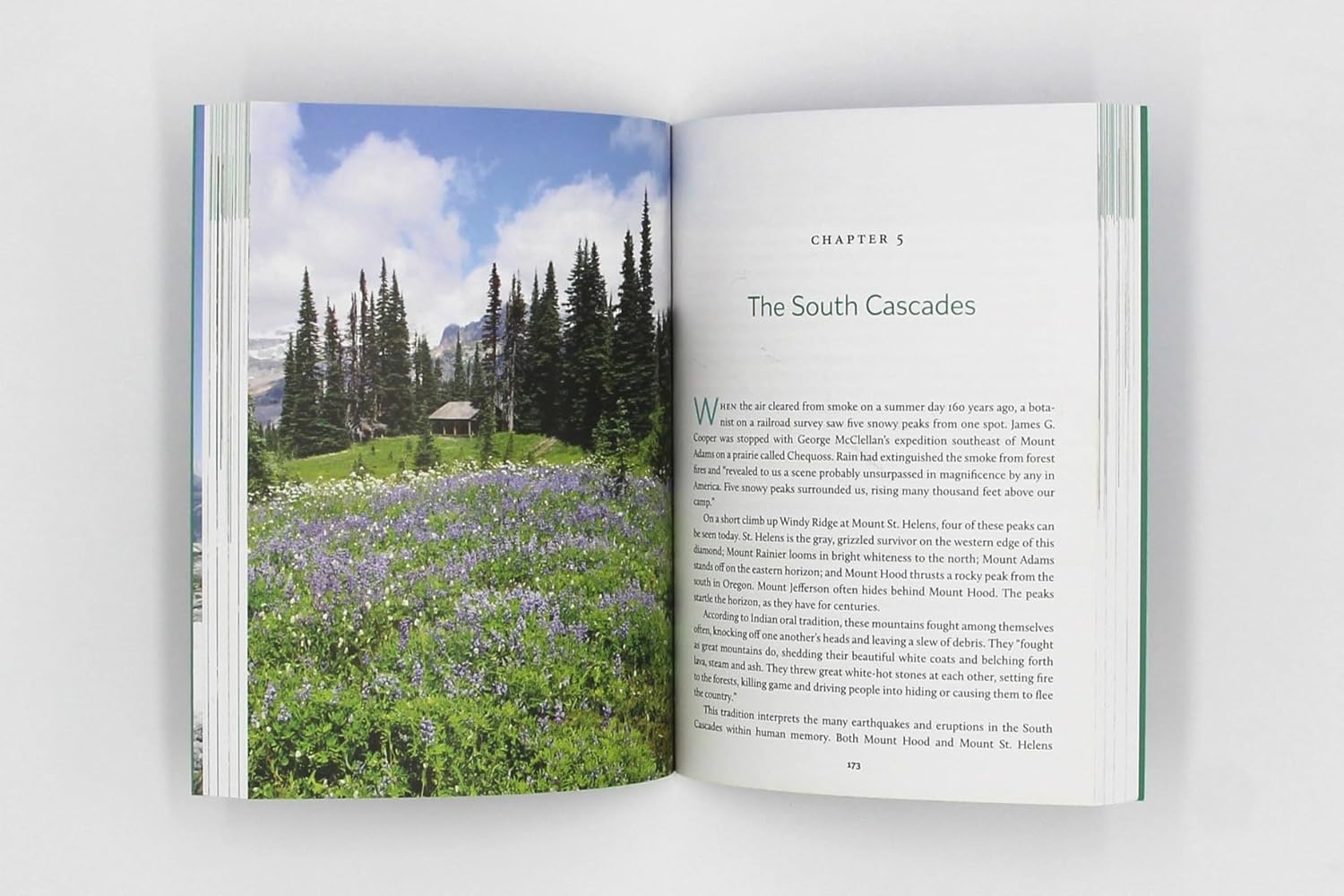 Hiking Washington's History by Bentley. Judy ; Romano. Craig 9780295748528_3