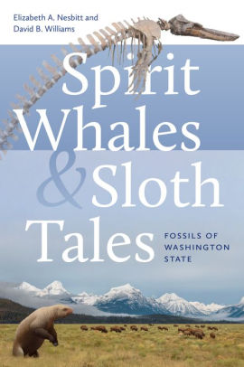Spirit Whales And Sloth Tales: Fossils Of Washington State by Nesbitt. Elizabeth 9780295752327