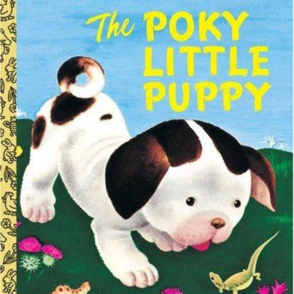 The Poky Little Puppy -Sebring Lowrey. Janette Golden Book 9780307021342_44c05817-b590-471c-9d92-3a5314a3180c