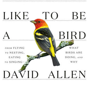 What It's Like To Be A Bird by Sibley. David Allen 9780307957894_c63dd4f1-ce3a-400a-9a75-e70f12994d9a