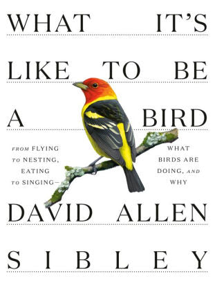 What It's Like To Be A Bird by Sibley. David Allen 9780307957894_c63dd4f1-ce3a-400a-9a75-e70f12994d9a