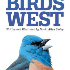 The Sibley Field Guide To Birds Of Western North America by Sibley. David Allen 9780307957924_c808cd72-3fc5-44dd-9987-df0d441d666c